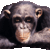 Commenter's Avatar