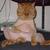 Commenter's Avatar