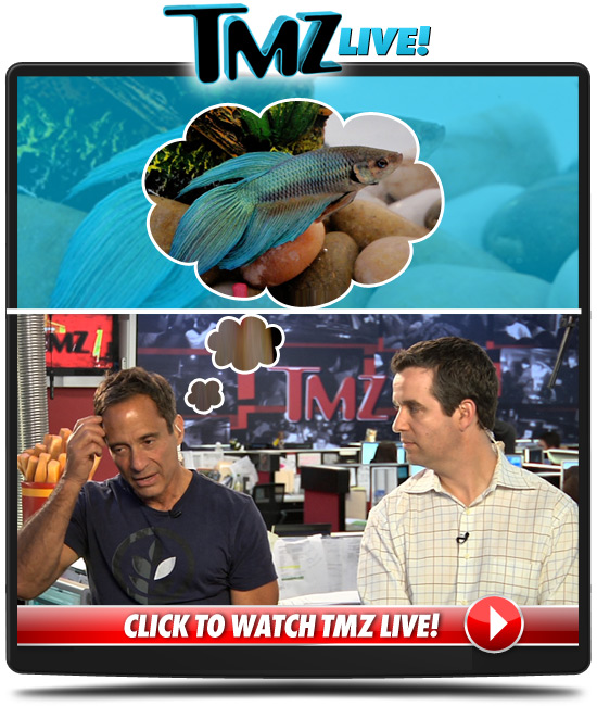 0610_tmz_live_player_2