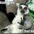 Commenter's Avatar