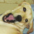 Commenter's Avatar