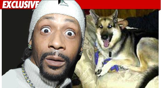 0701_katt_williams_dog_ex_tmz