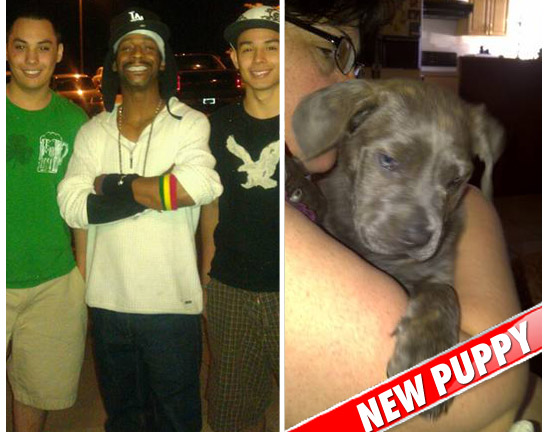 0701_katt_williams_new_puppy