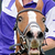 Commenter's Avatar