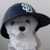 Commenter's Avatar