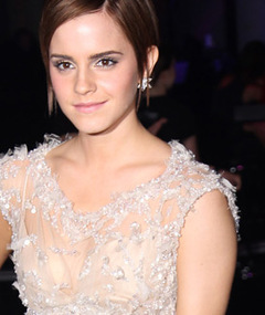 Photos: 'Harry Potter' Premiere -- The After-Party!