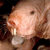 Commenter's Avatar
