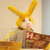 Commenter's Avatar