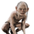 Commenter's Avatar