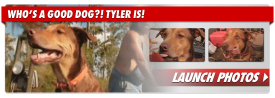 0718_tyler_dog_footer_v2