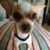 Commenter's Avatar