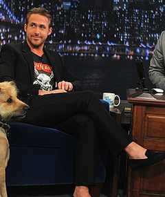 Video: Ryan Gosling Brings His Dog to Late Night TV