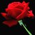 Commenter's Avatar
