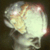 Commenter's Avatar
