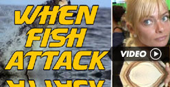 Jaime Pressly -- Not Biting on Shark Week