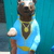 Commenter's Avatar