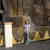 Commenter's Avatar