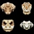 Commenter's Avatar