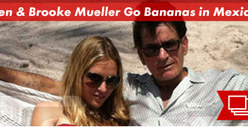 Charlie Sheen & Brooke Mueller -- NOT Getting Back Together
