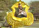 Mr. T -- I Pity the Homophobic Fool!