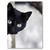 Commenter's Avatar