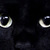 Commenter's Avatar