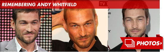 0912_andy_whitfield_footer