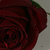 Commenter's Avatar