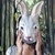 Commenter's Avatar
