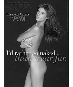 Clooney's Ex Elisabetta Canalis Strips for PETA