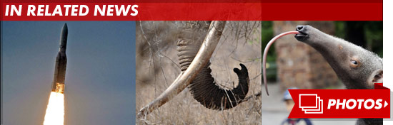 0916_related_news_footer