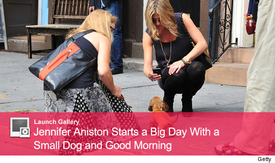 0926_dog_launch
