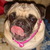 Commenter's Avatar