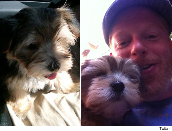 1013_dog
