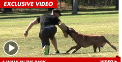 'Blue Mountain State' Star -- I'm Training ATTACK DOGS!!!