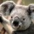 Commenter's Avatar