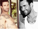 Adam Levine Strips, Slams 'American Idol'