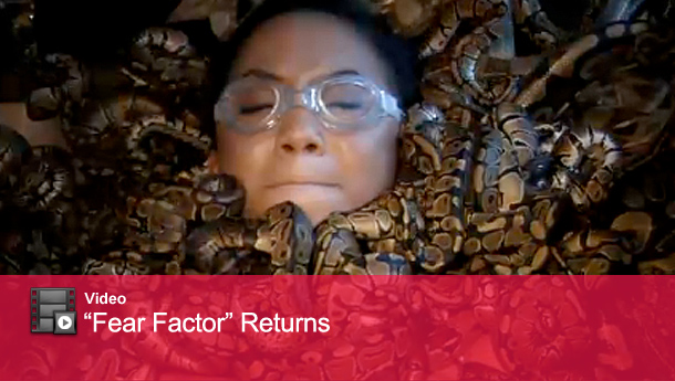 1021_factor_video