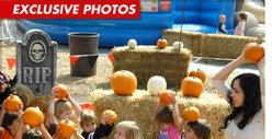 Octomom -- I'll Take 14 Pumpkins, Please!