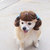 Commenter's Avatar