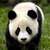 Commenter's Avatar
