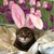 Commenter's Avatar
