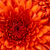 Commenter's Avatar