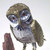 Commenter's Avatar
