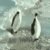 Commenter's Avatar