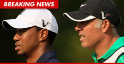 Tiger Woods -- Ex Caddie Stevie Williams Makes Racist Comment