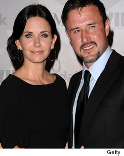 1109_david_single