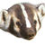 Commenter's Avatar