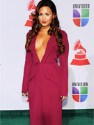 Demi Lovato's Daring Dress at the Latin Grammys