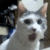 Commenter's Avatar